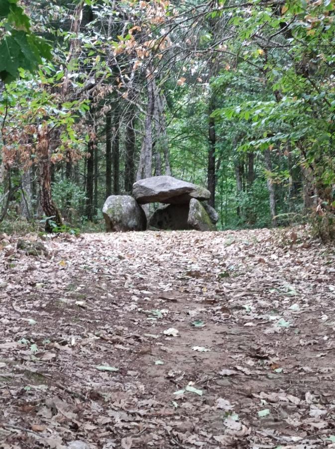 Gite Du Dolmen Classe 3 Epis Villa Blessac Bagian luar foto