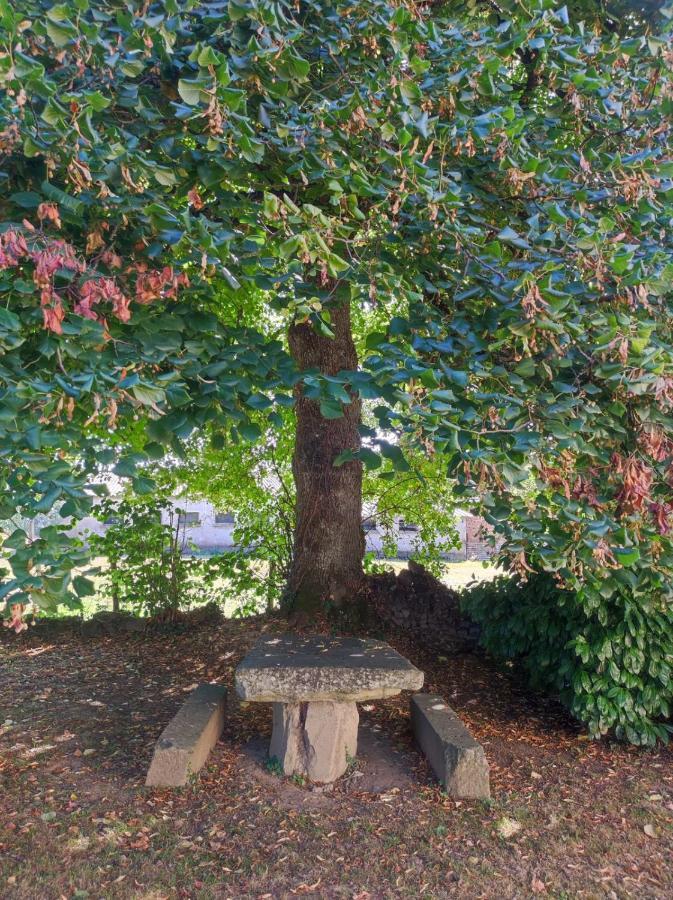 Gite Du Dolmen Classe 3 Epis Villa Blessac Bagian luar foto